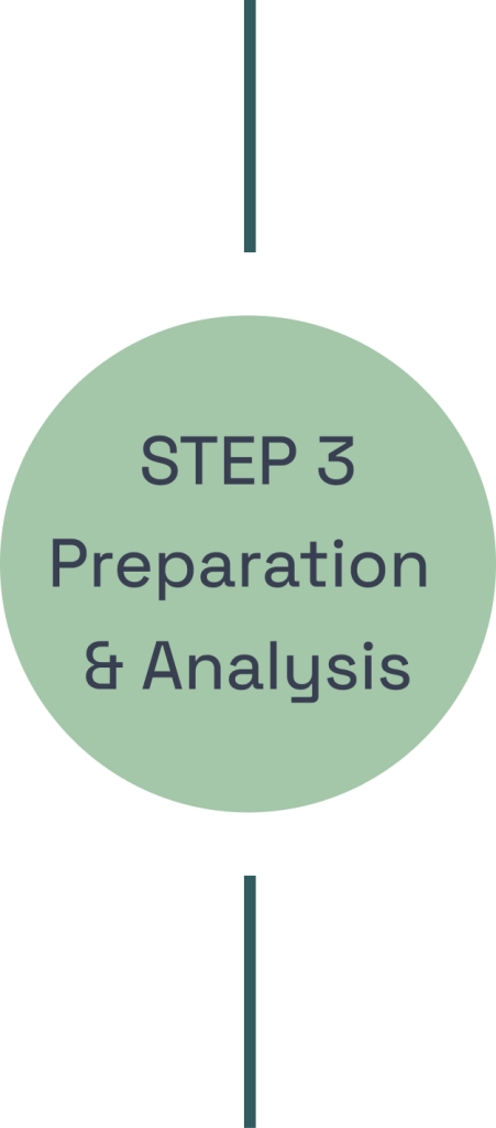 Step 3: Preperation and Analysis