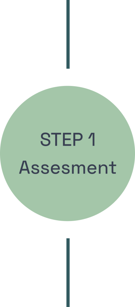 Step 1: Assesment